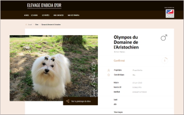 Fiche SCC de Olympos