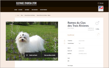Fiche SCC de Romo